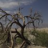 241-201205132335_DeathValley_TCzarnecki137