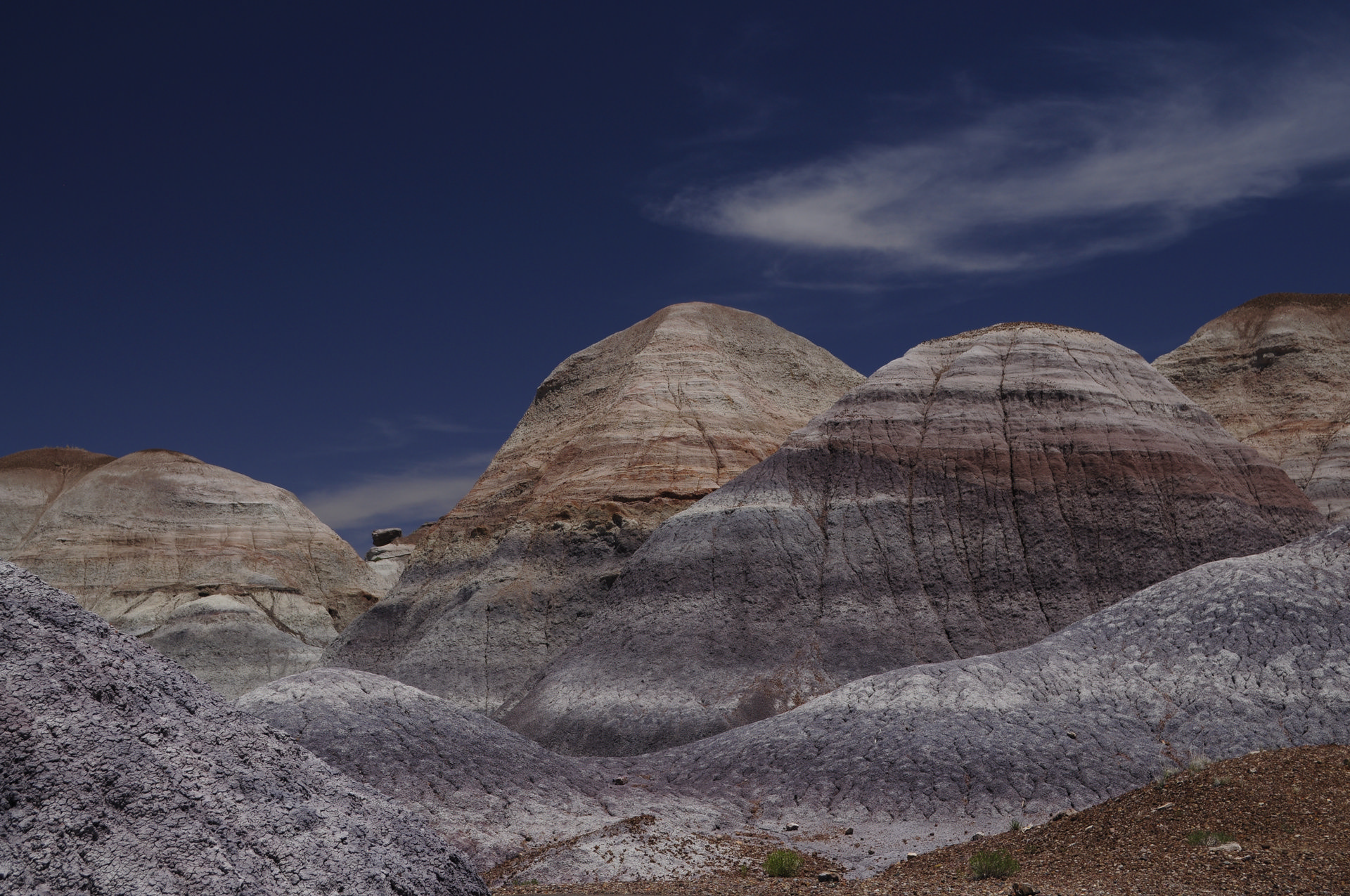 USA 2012 – day 6 – Petrified Forest N.P., Canyon de Chelly, Monument Valley