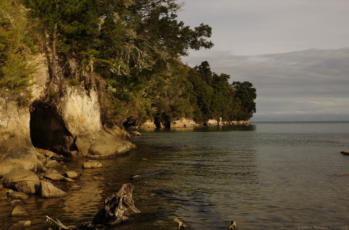 [:pl]Winnice Marlborough – Park Narodowy Abel Tasman[:en]Marlborough Vineyards – Abel Tasman National Park[:de]Marlborough Weinberge – Abel Tasman Nationalpark[:it]Vigneti Marlborough – Parco Nazionale Abel Tasman[:es]Marlborough viñedos – Abel Tasman National Park[:fr]Vignobles Marlborough – Parc National Abel Tasman[:]