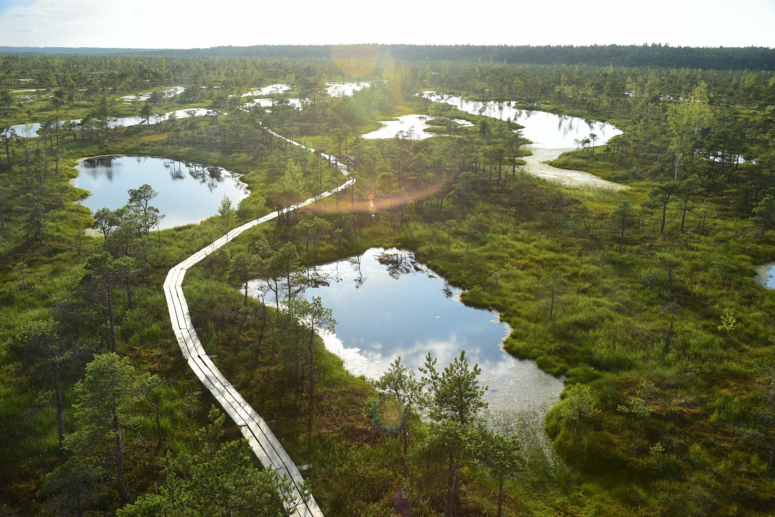 Baltic States Express